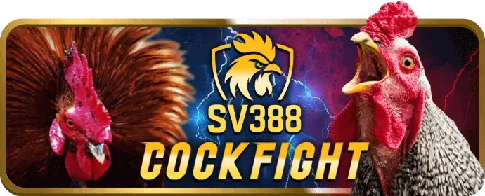 Máy đánh bạc và Nổ hũ
